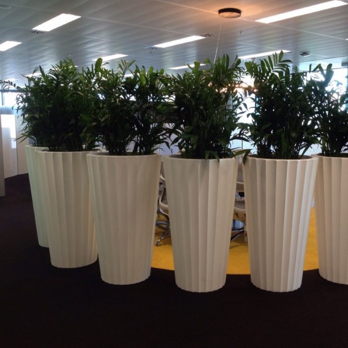 Natural Green Indoor Plant Dividers