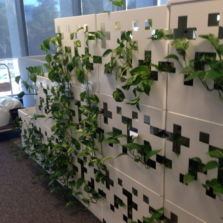 Natural Green Indoor Plant Dividers